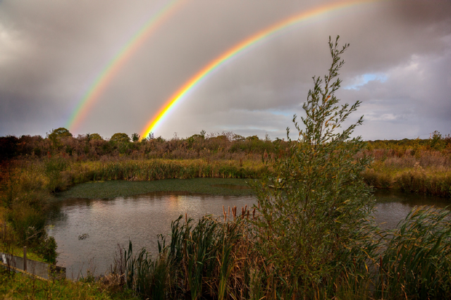 Figure 4: View of the Pond from the Engine Workshop Museum